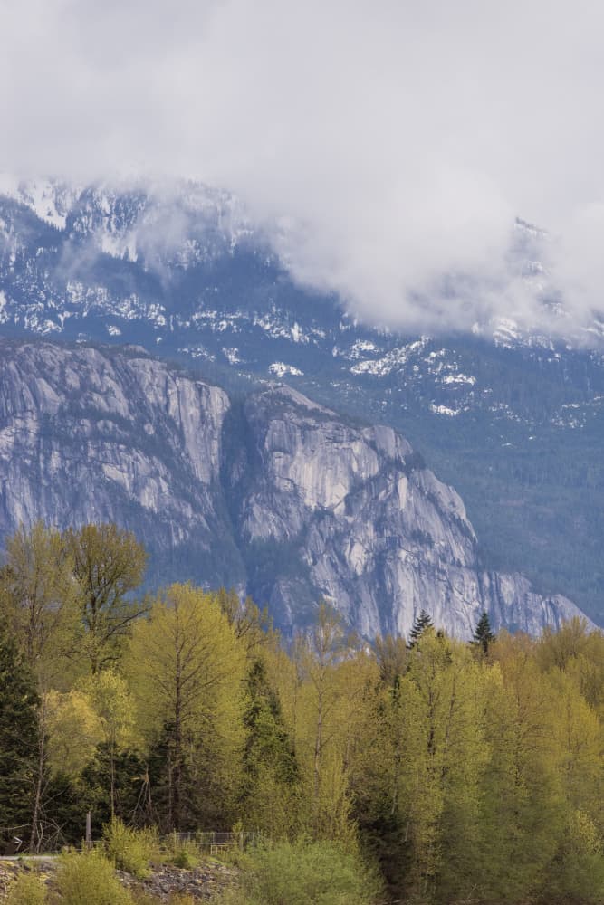Cloudy Mountain Spring by Lynann Colligan — canvas wall art