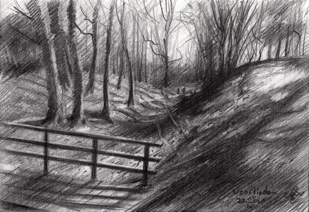 Forest Path Sketch by Corné Akkers — canvas wall art