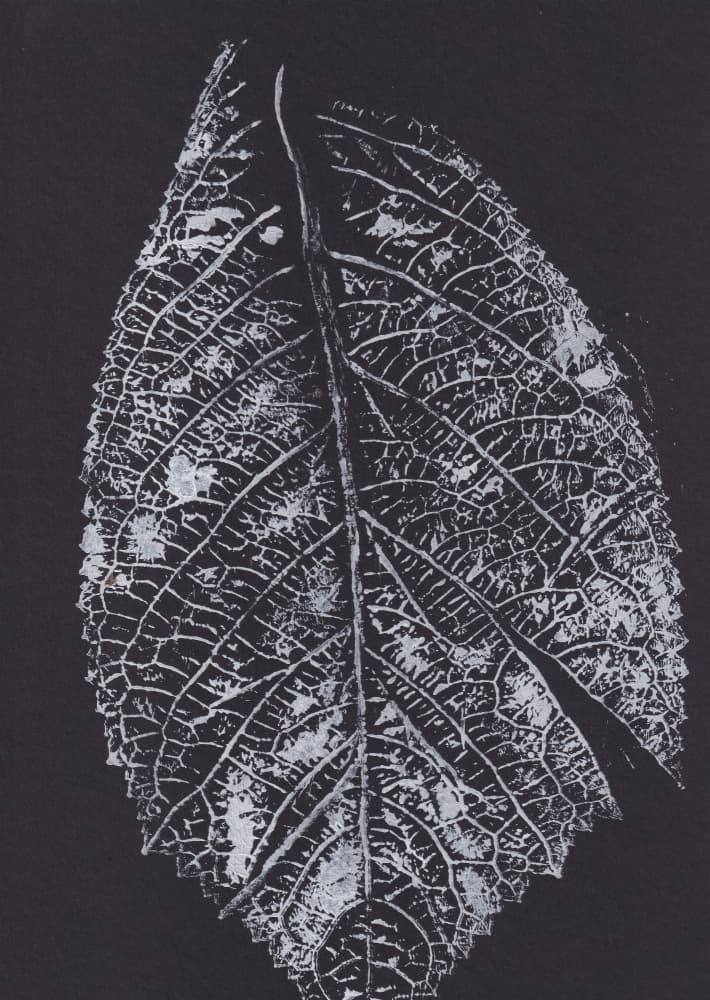 Monochrome Leaf Pattern by Maira Ribena — canvas wall art