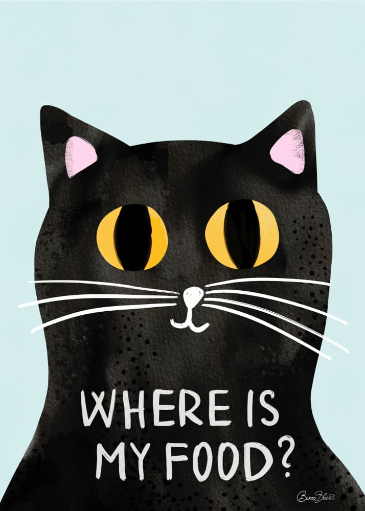 Where Is My Food Cat by Baroo Bloom — canvas wall art