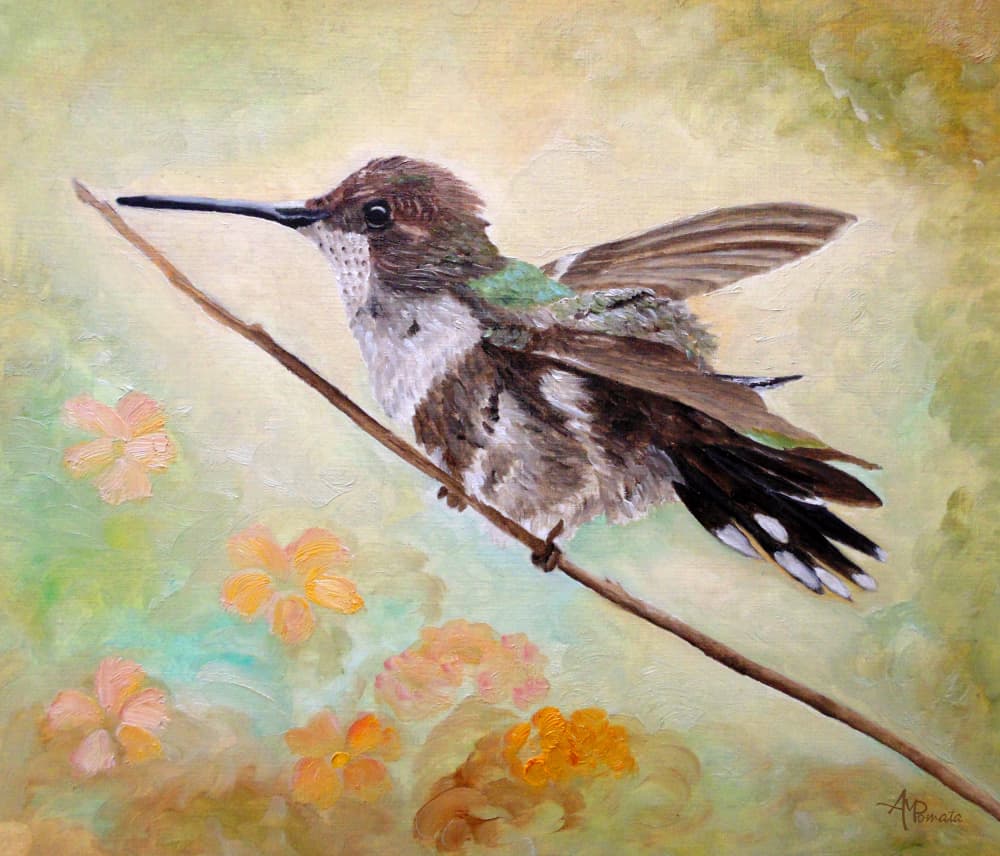 Hummingbird on Branch by Angeles M. Pomata — canvas wall art