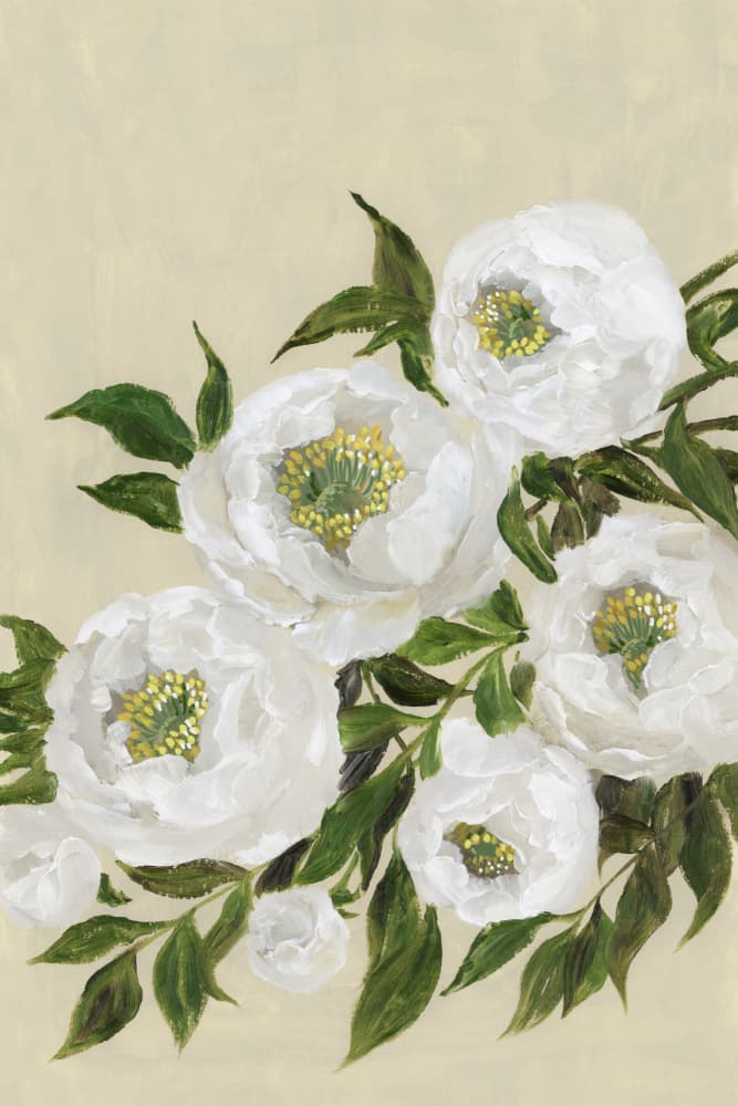 Elegant White Peonies by Rosana Laiz Blursbyai — canvas wall art