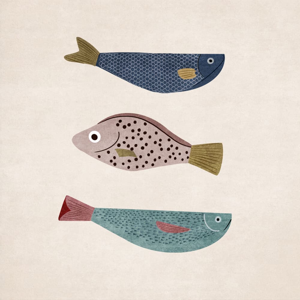 Fish Trio Delight by Emel Tunaboylu — canvas wall art