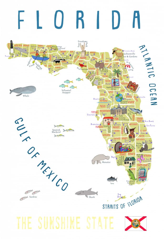 Illustrated Florida Map by Carla Daly — canvas wall art