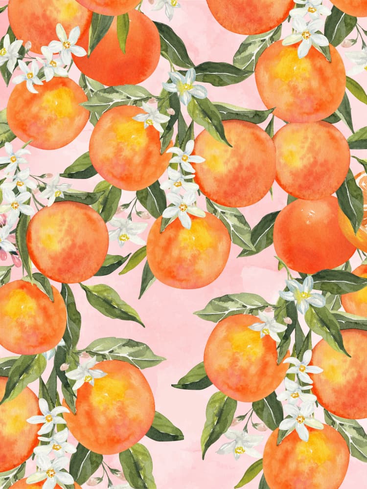fruit art by Mathieu jeuf — canvas wall art