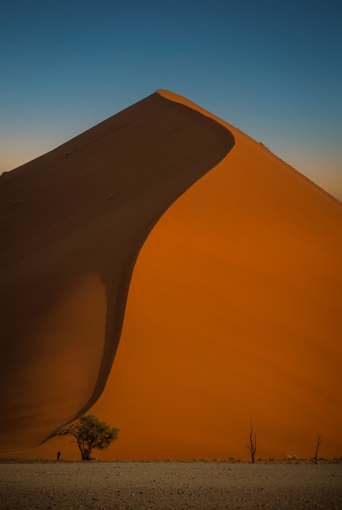 Majestic Desert Dune by Isam Telhami — canvas wall art