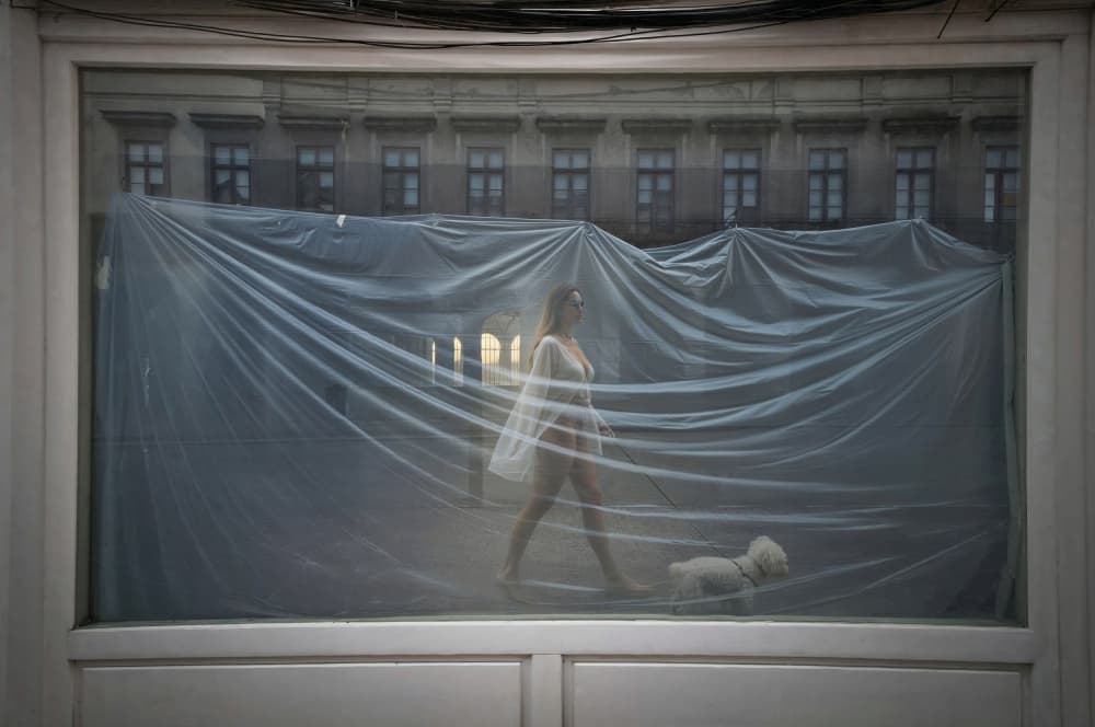 Woman Dog Sheer Window by Giuseppe Satriani — canvas wall art