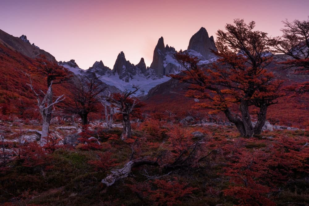 Patagonia Autumn Peaks by Lijuan Yuan — canvas wall art