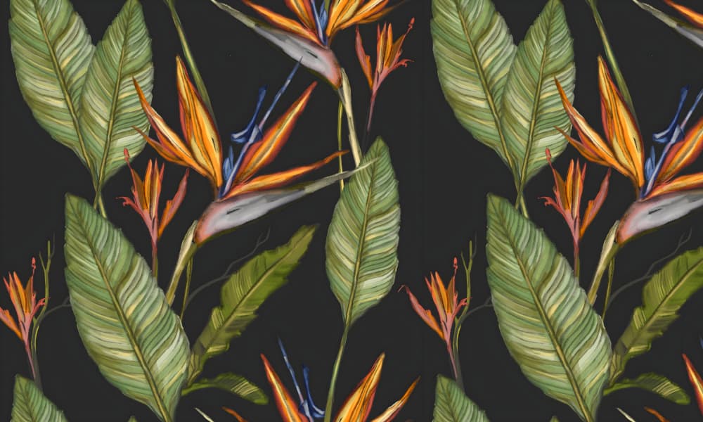 Exotic Bird of Paradise by Josie George — canvas wall art