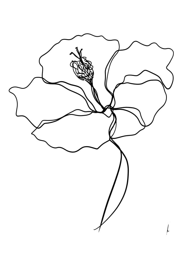 Minimalist Flower Outline by Ankie Kooi — canvas wall art