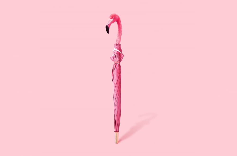 Pink Flamingo Umbrella by Artem Pozdniakov — canvas wall art