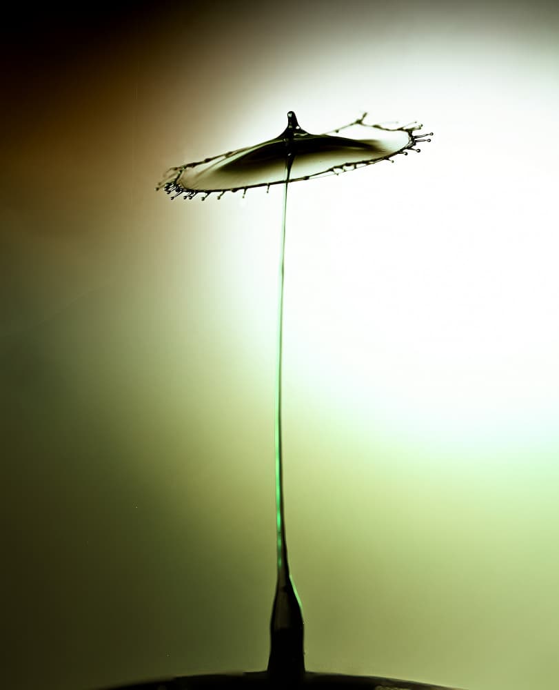 Elegant Liquid Sculpture by Porter Thomas — canvas wall art