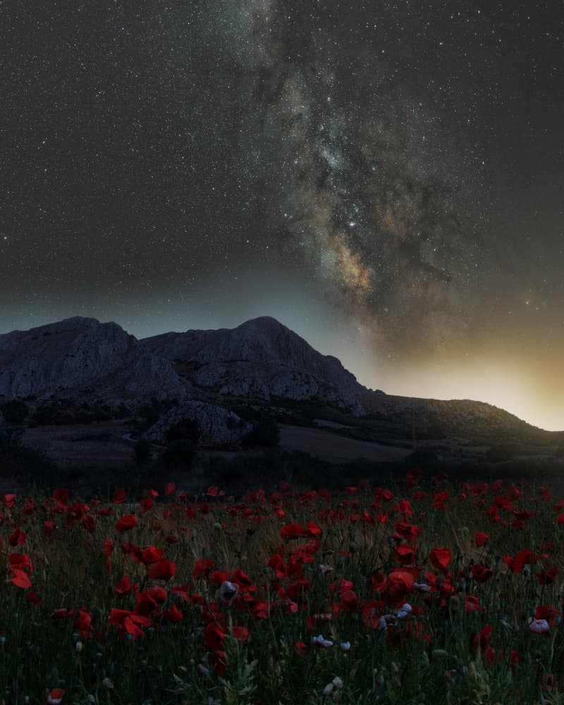 Starry Night Poppy Field by Javier del Puerto Photography — canvas wall art
