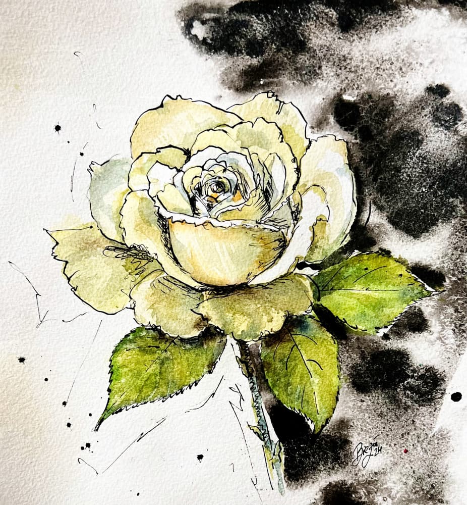 White Rose Dark Contrast by Anda Bieza — canvas wall art