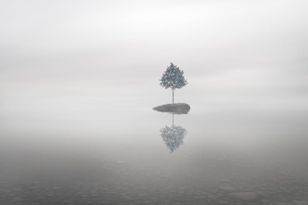 Lone Tree Reflection by Christian Lindsten — canvas wall art