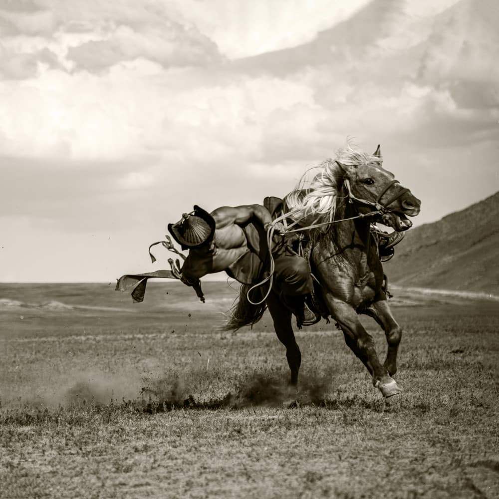 Galloping Steppe Rider by Rachel Pansky — canvas wall art