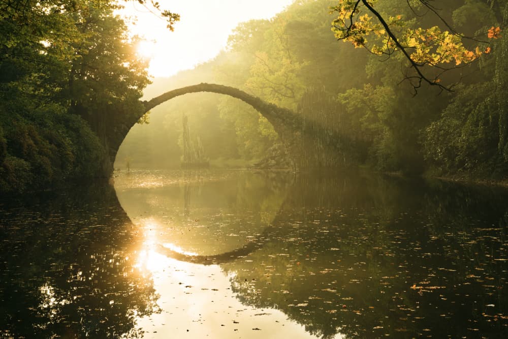 Golden Circle by Stefan Hefele — canvas wall art