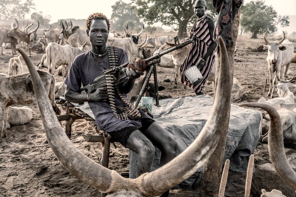 African Warrior and Cattle by Trevor Cole — canvas wall art