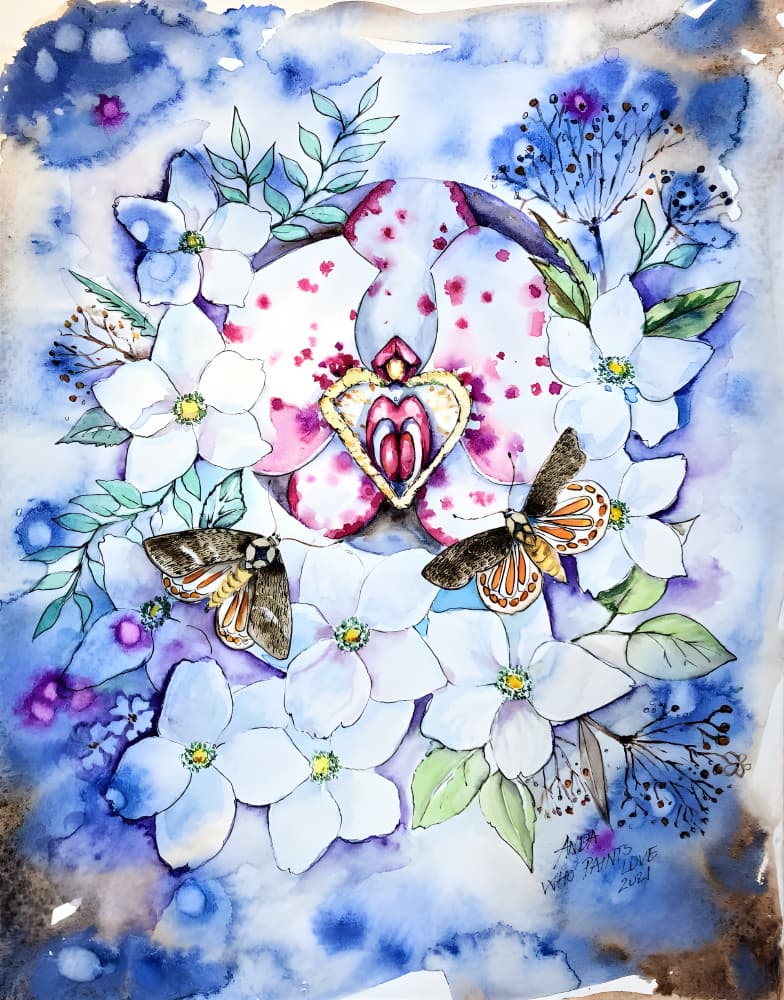 Dreamy Orchid Moths by Anda Bieza — canvas wall art