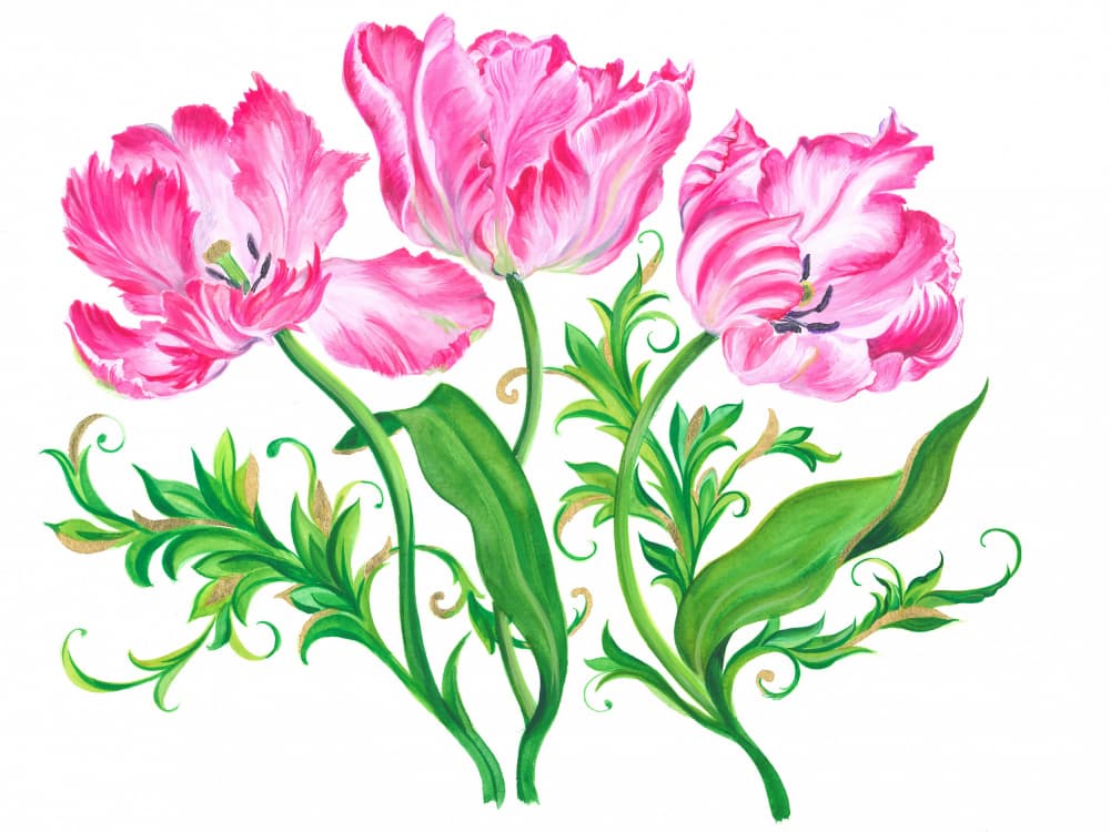 Pink Floral Delight by Isabelle Brent — canvas wall art