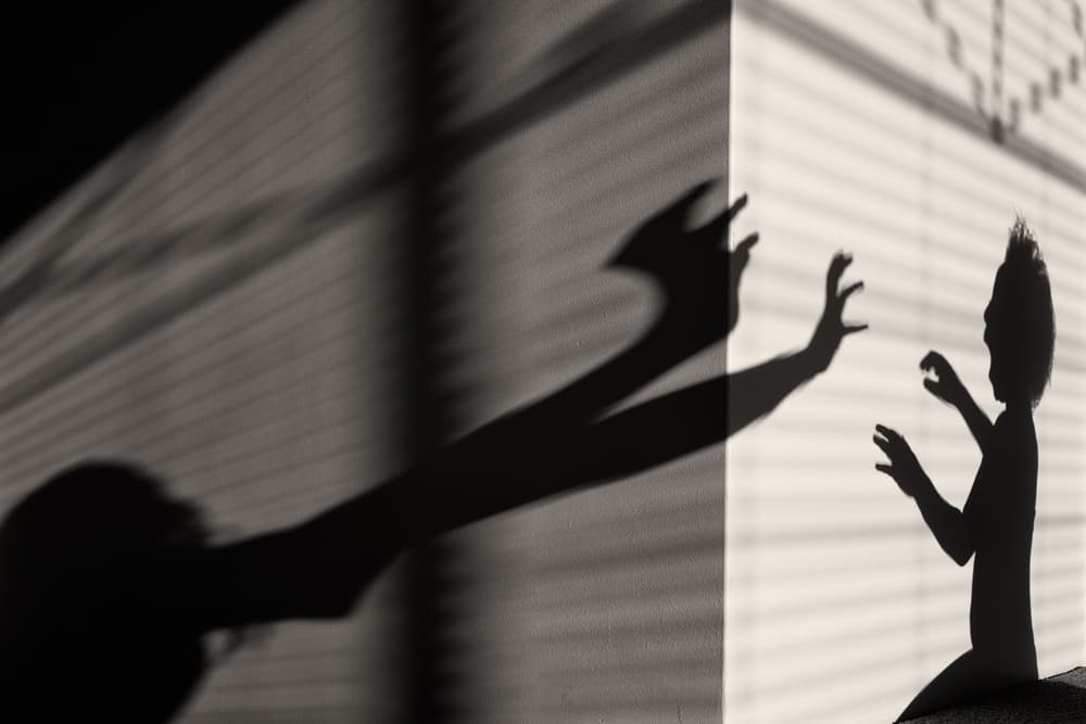 Dramatic Shadow Play by Gloria Salgado Gispert — canvas wall art