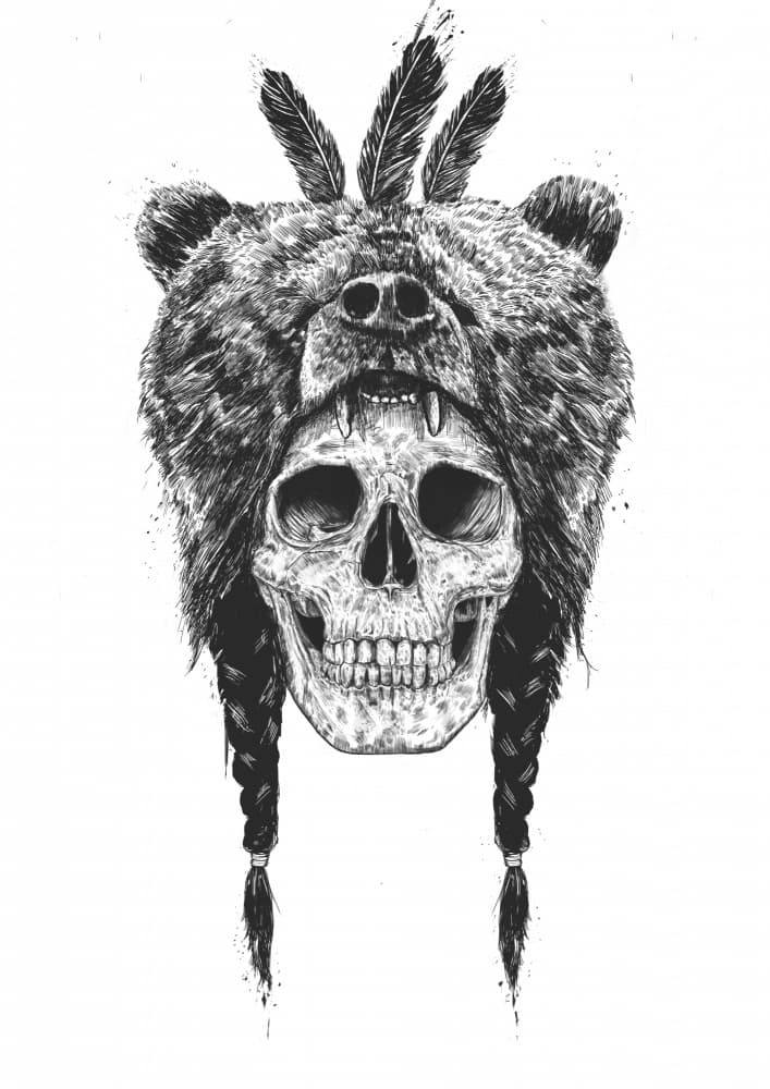 Warrior Bear Skull by Balazs Solti — canvas wall art