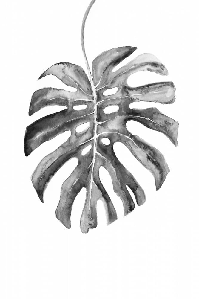 Monstera Leaf Watercolor by Rosana Laiz Blursbyai — canvas wall art