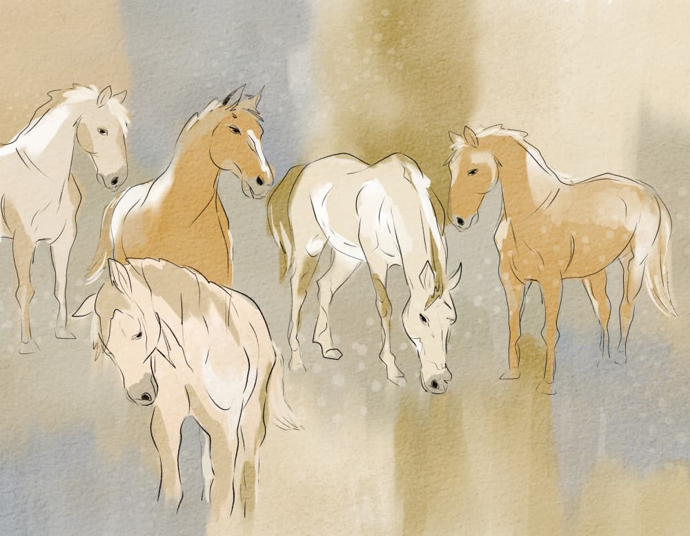 Graceful Horse Herd