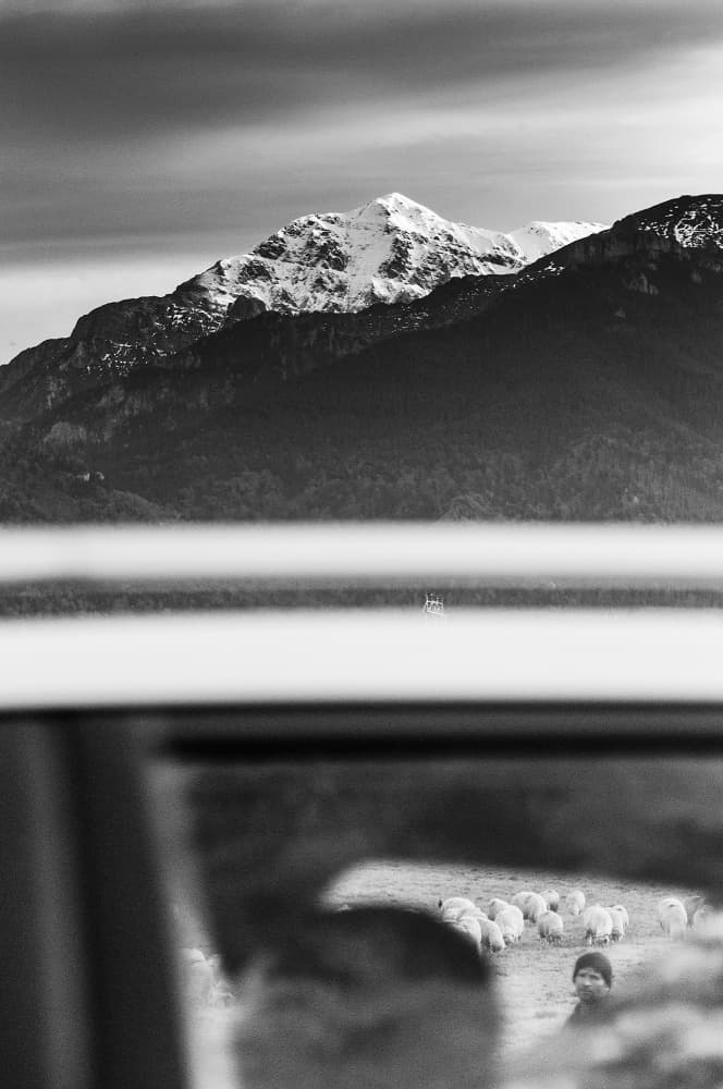 Snowy Peaks and Pasture View by Gheorghita Nemtanu — canvas wall art