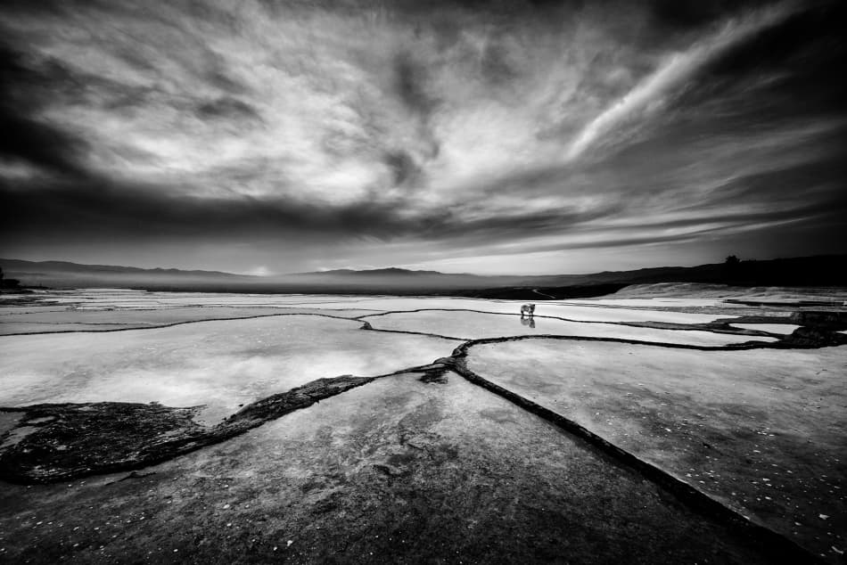 Distant Figures Water Horizon by Veli Aydogdu — canvas wall art
