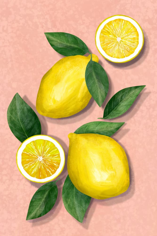 Bright Yellow Lemons by EMELIEmaria — canvas wall art