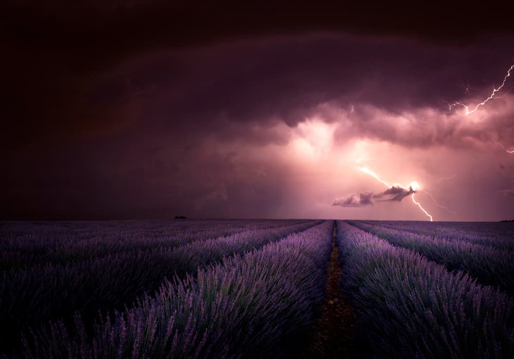 Dramatic Lavender Storm by Nicolas Schumacher — canvas wall art