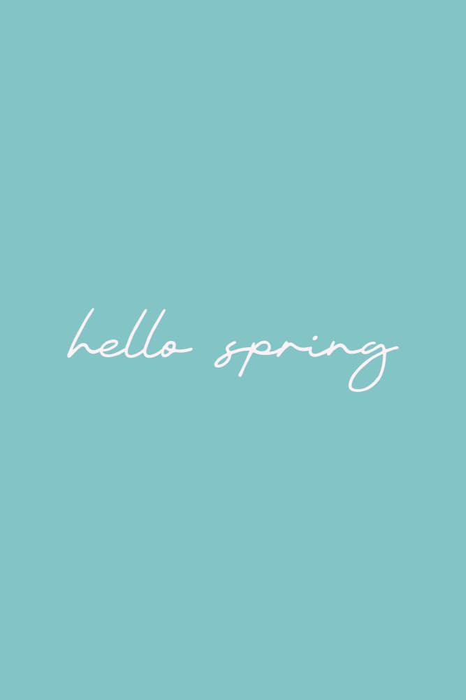Hello Spring Script by Karen Menzenbach — canvas wall art