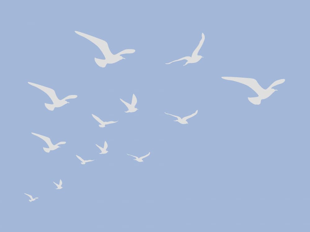 White Birds In Flight by Jolly and Dash — canvas wall art