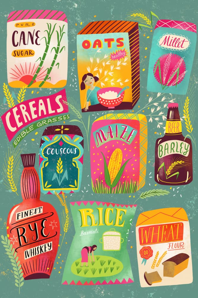 Essential Grains Collection by uta krogmann — canvas wall art