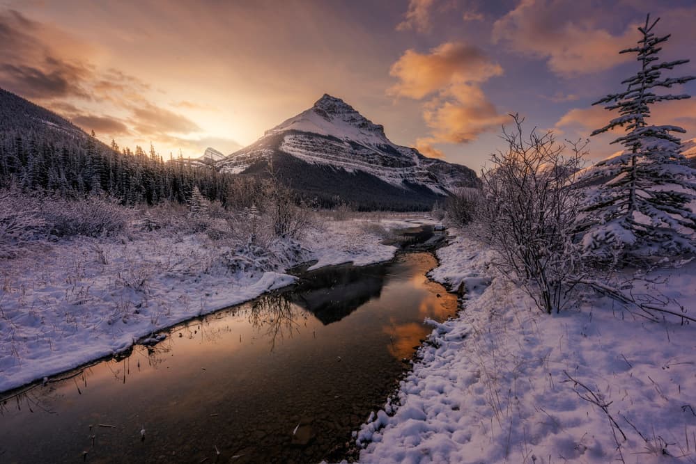 Snowy Mountain Stream Sunrise by Jorge Ruiz Dueso — canvas wall art