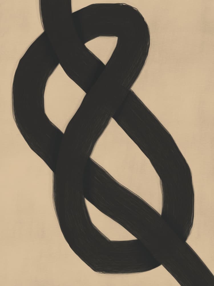 Abstract Knot Form by Little Dean — canvas wall art