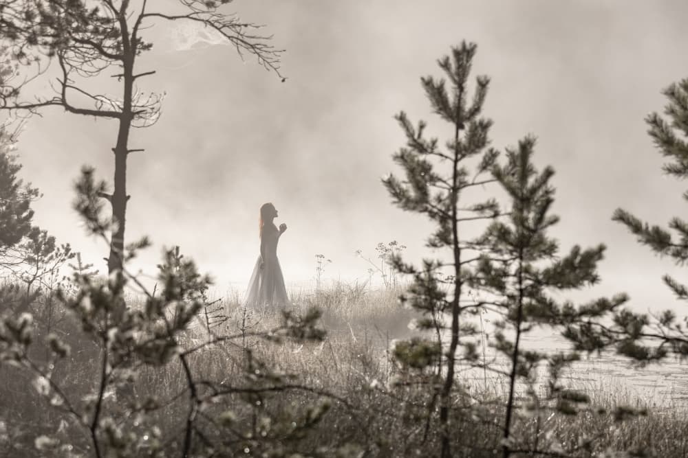 Misty Bog Solitude by Leszek Paradowski — canvas wall art