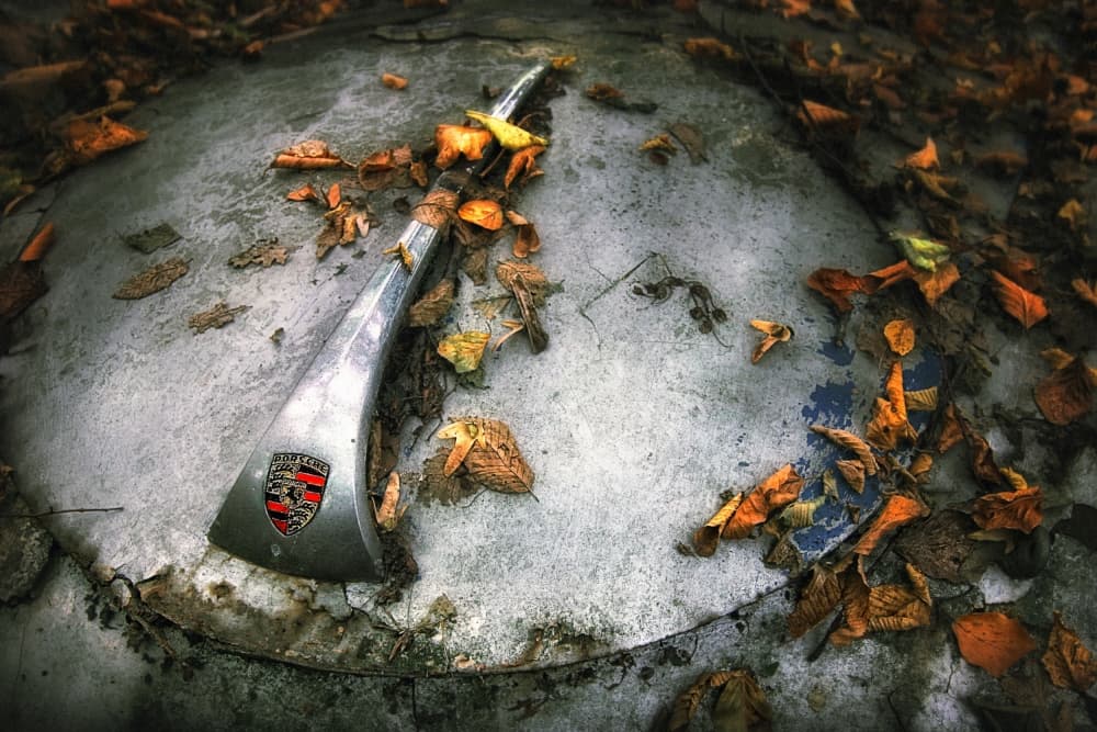 Forgotten Autumn Emblem by Holger Droste — canvas wall art