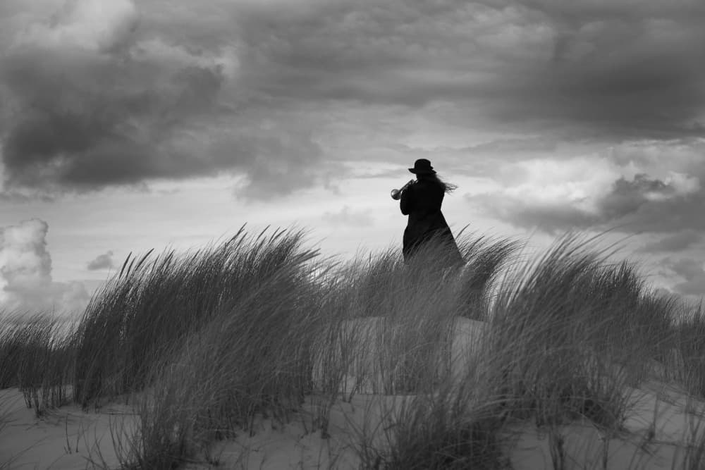 Windswept Trumpet Silhouette by Liesbeth van der Werf — canvas wall art