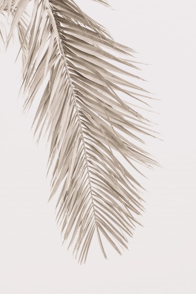 Untitled by Kathrin Pienaar — canvas wall art