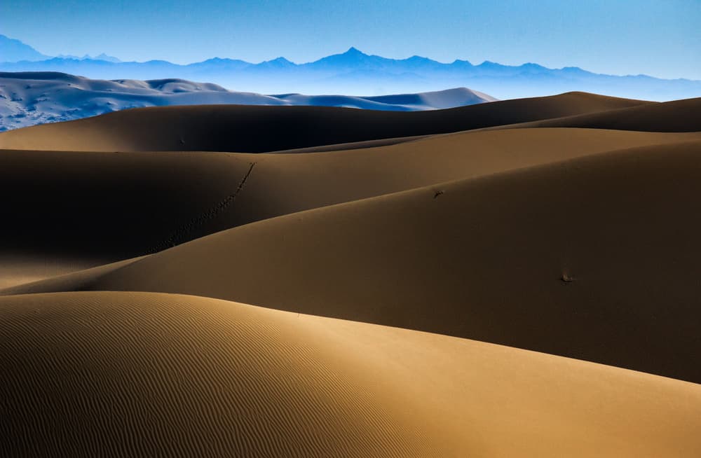 Serene Desert Dunes by Babak Mehrafshar — canvas wall art