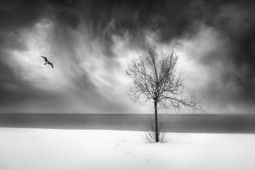 Stark Winter Landscape by George Digalakis — canvas wall art
