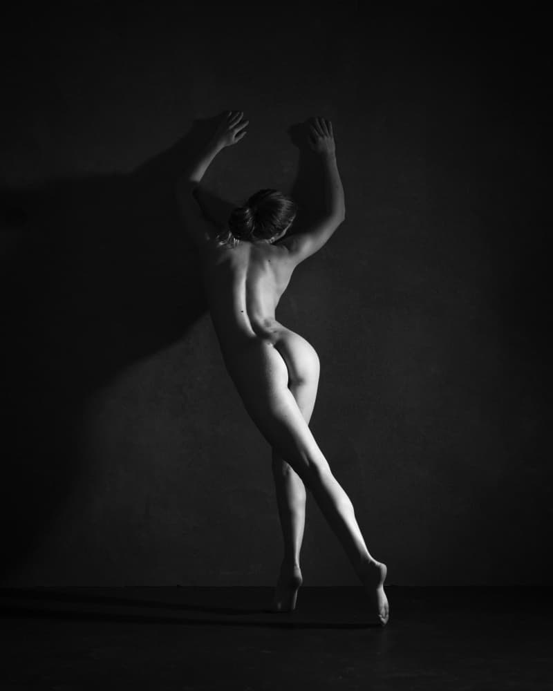 Graceful Silhouette by Mel Brackstone — canvas wall art