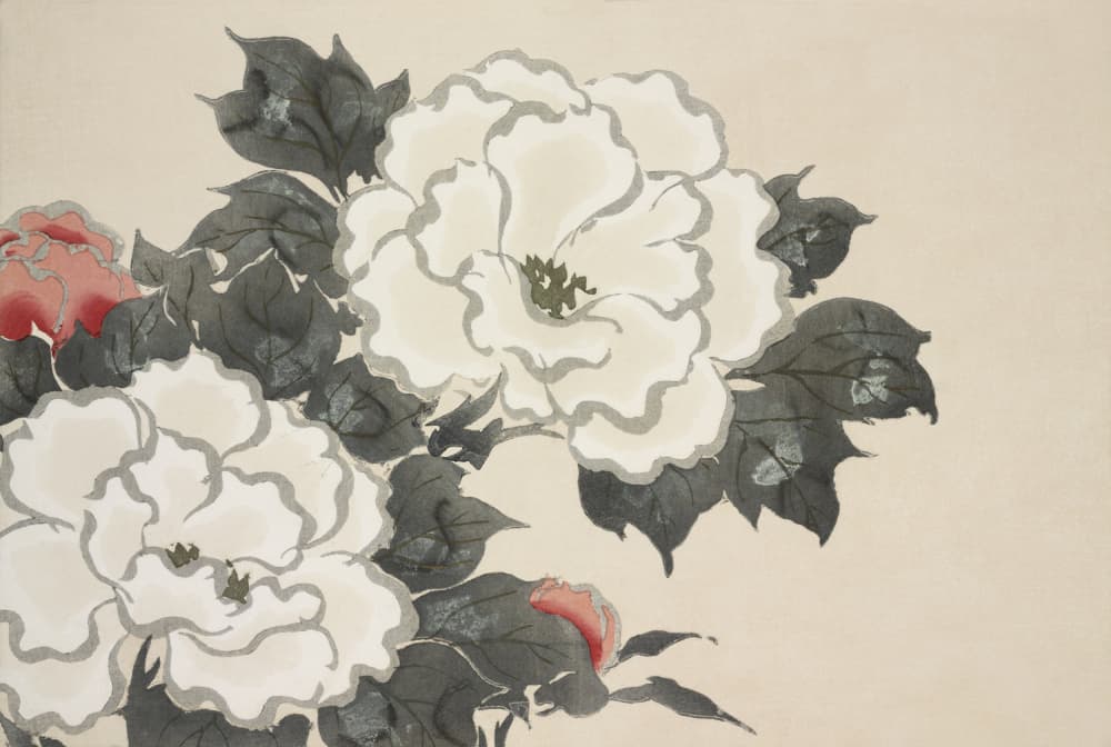 Flowers From Momoyogusa by Kamisaka Sekka — canvas wall art