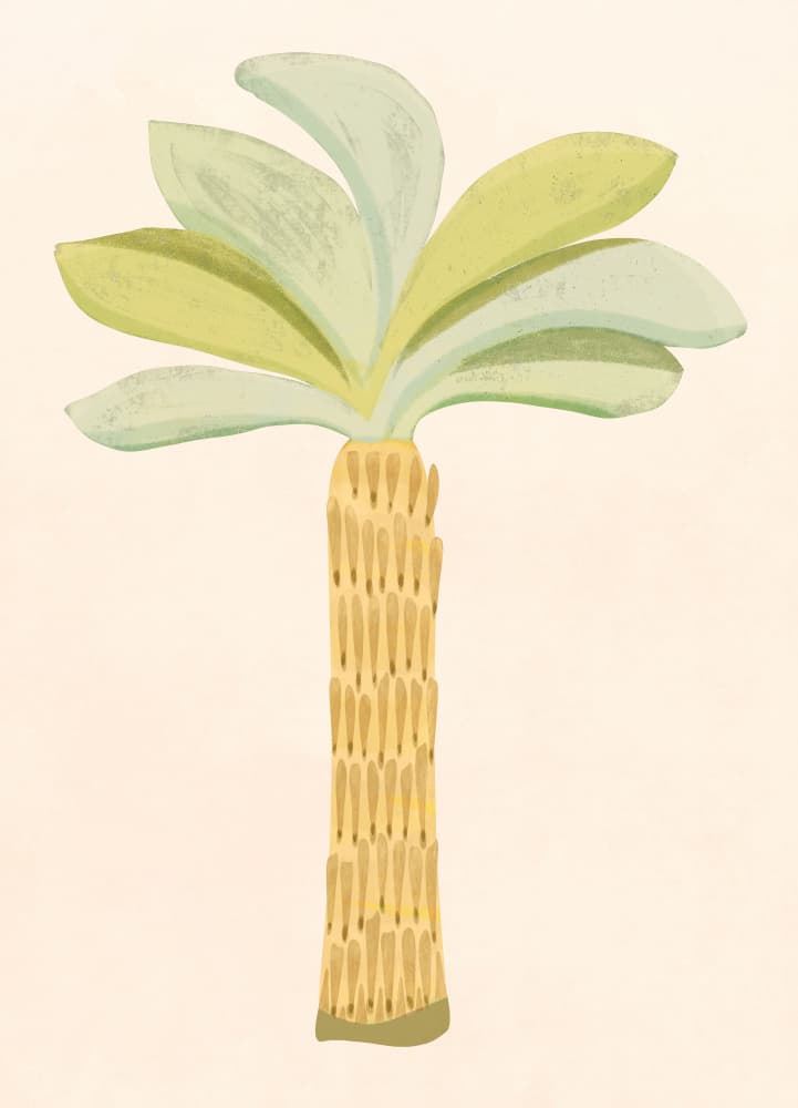 Tropical Palm Tree by Kristian Gallagher — canvas wall art