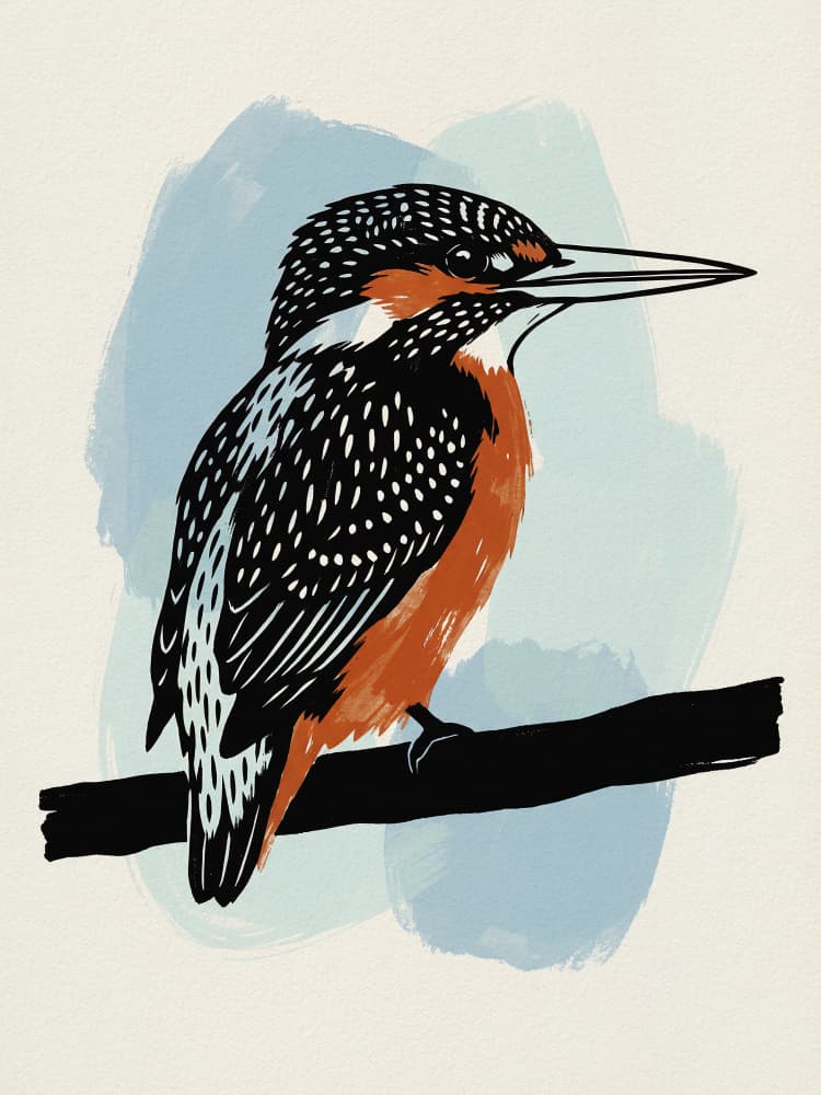 Spotted Kingfisher Perched by Andreas Magnusson — canvas wall art