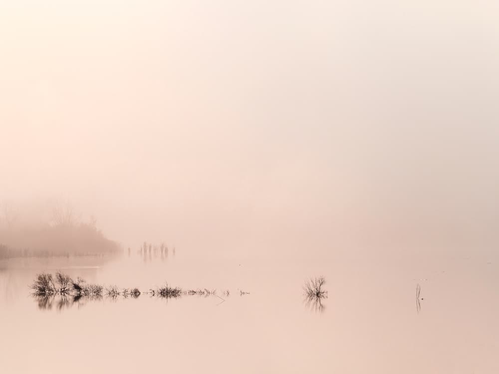 Foggy Lake Reflection by Andrea Lorenzetti — canvas wall art