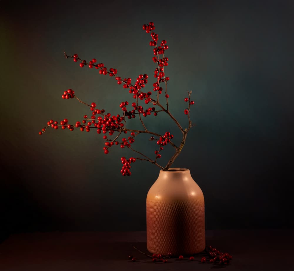 Winter Berries Display by John-Mei Zhong — canvas wall art