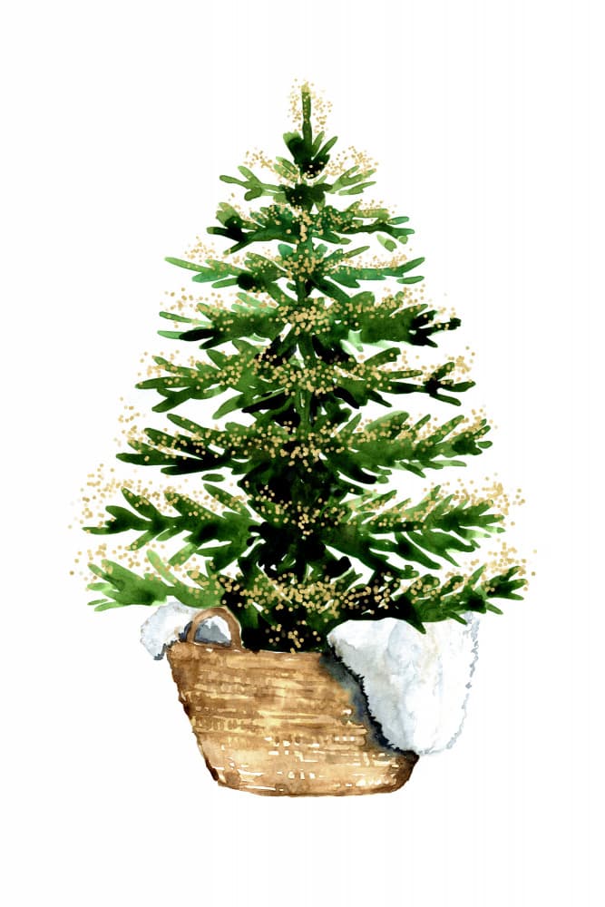 Sparkling Christmas Tree by Rosana Laiz Blursbyai — canvas wall art